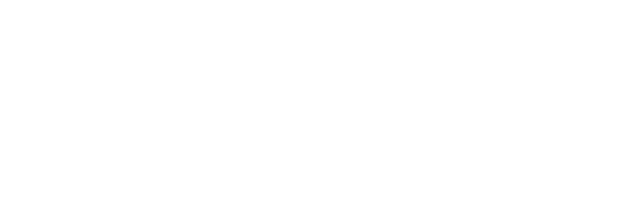Boys Aid Network Logo